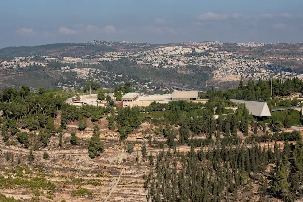 mount of olives in Jerusalem
