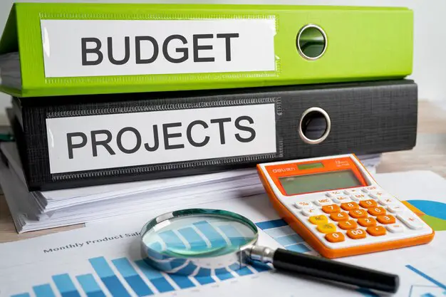 budget-projects-binder-data-finance-report-business-with-graph-analysis-office_